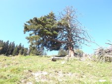 Impression10