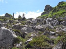 Impression4